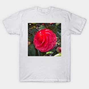 Red With White Accents Camellia Bloom T-Shirt